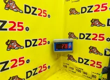 Дверь боковая TOYOTA WISH 2013/Цвет 202 6700168030 ZGE20W 2ZRFAE, передняя правая