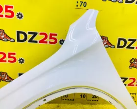 Крыло Mercedes-Benz