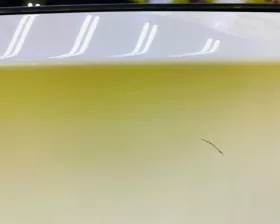 Дверь 5я Mercedes-Benz
