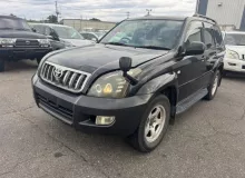 СТОЙКА ПАРА ЛЕВАЯ И ПРАВАЯ TOYOTA LAND CRUISER PRADO ЛЕВЫЙ|ПРАВЫЙ|ПЕРЕДНИЙ|ЗАДНИЙ|2008 4851069285 TRJ120W 2TRFE, передняя