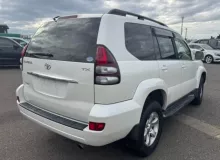 Механизм стояночного тормоза TOYOTA LAND CRUISER PRADO 2006/Цвет 070 TRJ120W 2TRFE, задний левый