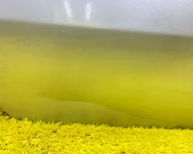 Дверь боковая TOYOTA