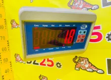 Руль TOYOTA LAND CRUISER 1992/Цвет 26P 451006019003 HZJ77HV 1HZ, передний