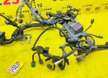 Коса двс HONDA FREED+ 2017/Цвет NH731P GB6 L15B, передняя