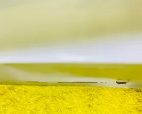 Дверь боковая Honda