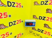 Двигатель TOYOTA WISH 2013|Цвет 202 1900037620 ZGE20W 2ZRFAE