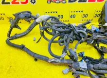Коса под капот TOYOTA PREMIO 2008/Цвет 1F7 8211120B70 ZRT265 2ZRFE, передняя