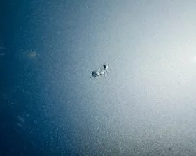 Капот Toyota