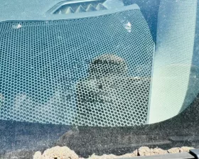 Лобовое стекло Subaru