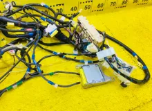 Коса под торпеду TOYOTA WISH 2007/Цвет 1F7 8214168220 ZNE10G 1ZZFE, передняя