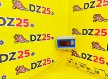 Руль DAIHATSU BEGO 2007/Цвет S28 45102B4020B0 J210G 3SZVE, передний