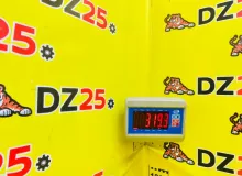 Двигатель TOYOTA LAND CRUISER 24-VALVE|1995 1900017500 HDJ81V/HDJ81 1HDFT