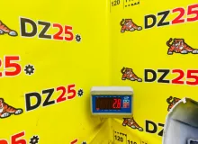 Бампер TOYOTA LAND CRUISER PRADO 2003 5215960911A1 VZJ121W 5VZFE, задний