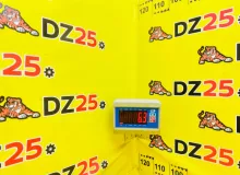 Пружина TOYOTA LAND CRUISER PRADO 2002 482316B030 VZJ120W 5VZFE, задняя