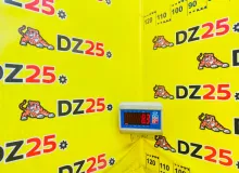 Рычаг TOYOTA LAND CRUISER PRADO 1994 4861060013 KZJ78W 1KZTE, передний правый