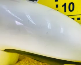 Уши Toyota