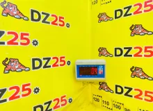 Габарит TOYOTA LAND CRUISER PRADO 1994 8161060152 KZJ78W 1KZTE, передний правый