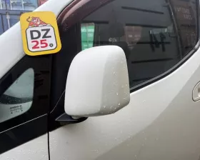 Уши Nissan