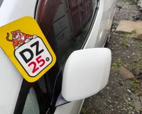 Уши Nissan