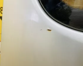 Дверь боковая Toyota