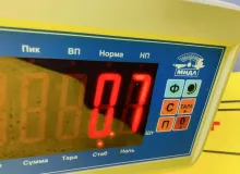 Петля капота HONDA FIT 2015 60120T5AZ00ZZ GP5 LEB, передняя