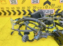 Коса под капот TOYOTA ALPHARD 2015 8211158531 AGH30W 2ARFE, передняя