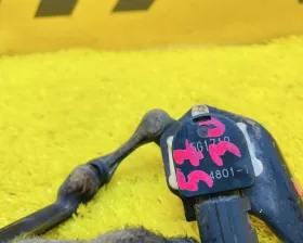 Датчик корректора фар Toyota