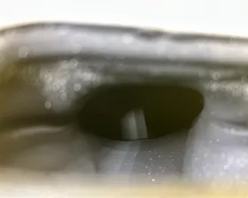 Катализатор Honda