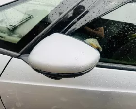 Уши Honda