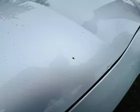 Капот Toyota