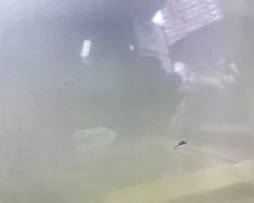Дверь боковая Toyota