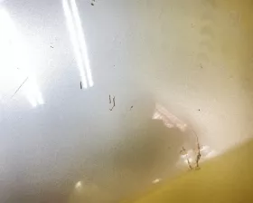 Капот Toyota