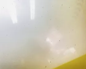 Капот Toyota