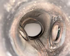 Катализатор TOYOTA