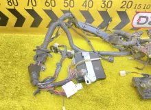 Коса под капот TOYOTA RAV4 2000/Цвет 064 821114A081 ZCA26W 1ZZFE, передняя