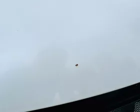Капот NISSAN