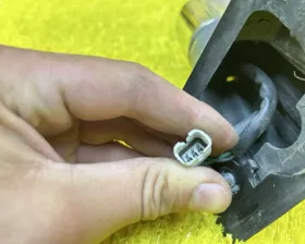 Уши Toyota