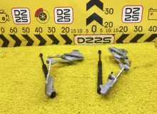 Петля капота BMW X5 2008 41007198618 E70 N52B30AF, передняя