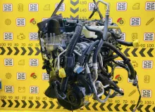 Двигатель MAZDA CX-30 2019- S8Y102300H DM8P S8DPTS, передний