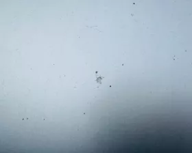 Капот Toyota