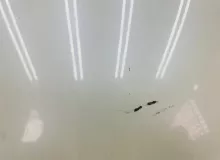 Капот TOYOTA PRIUS PHV 2017 5330147120 ZVW52W 2ZRFXE, передний