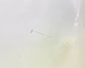 Капот Nissan