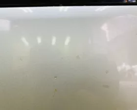 Дверь 5я Toyota