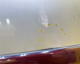 Дверь 5я Toyota