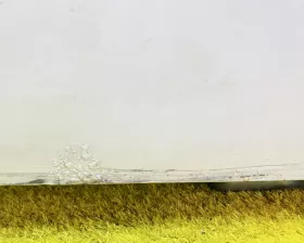 Дверь 5я Toyota