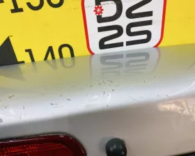 Дверь 5я Toyota