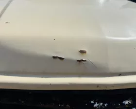 Капот Toyota