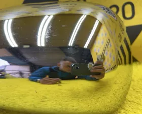 Уши TOYOTA