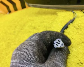 Лобовое стекло Toyota