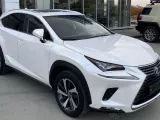 Амортизатор LEXUS/TOYOTA NX300H/NX300/NX200T/NX200 ЛЕВЫЙ|ПРАВЫЙ|2020 4853078050 AYZ10/AYZ15/AGZ10/AGZ15/AGZ15L 2ARFXE, задний левый